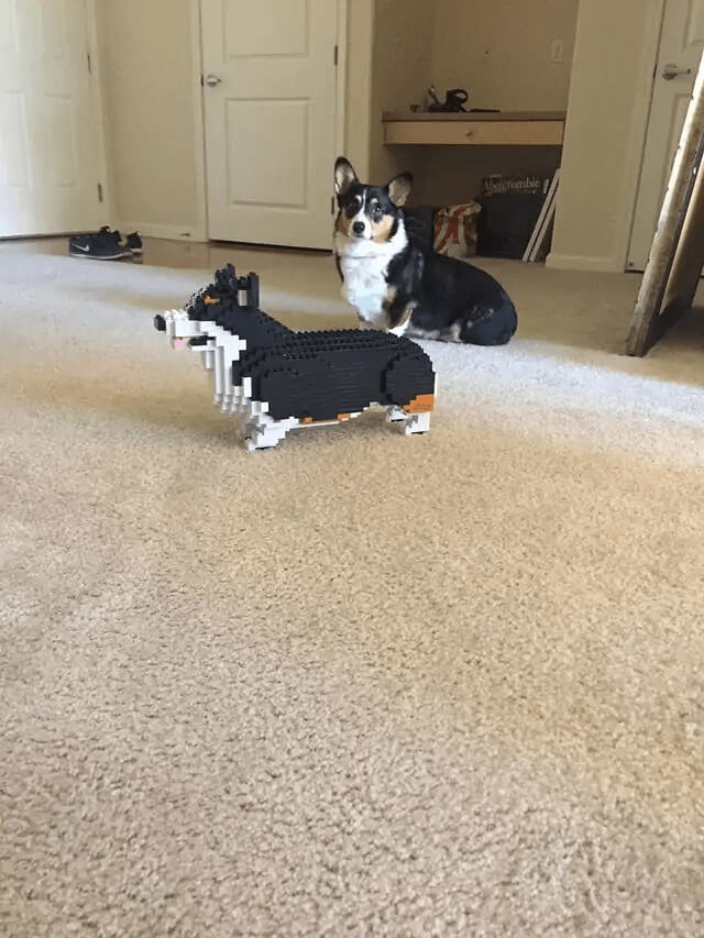 You Think This Is Funny?