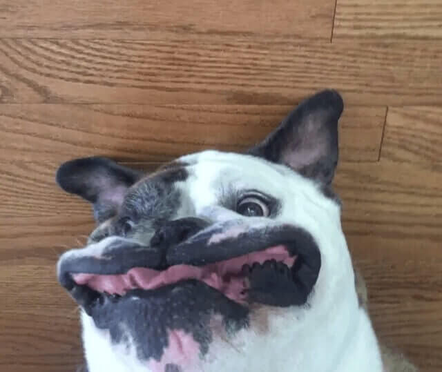 The Perfect Picture For A Bad Day