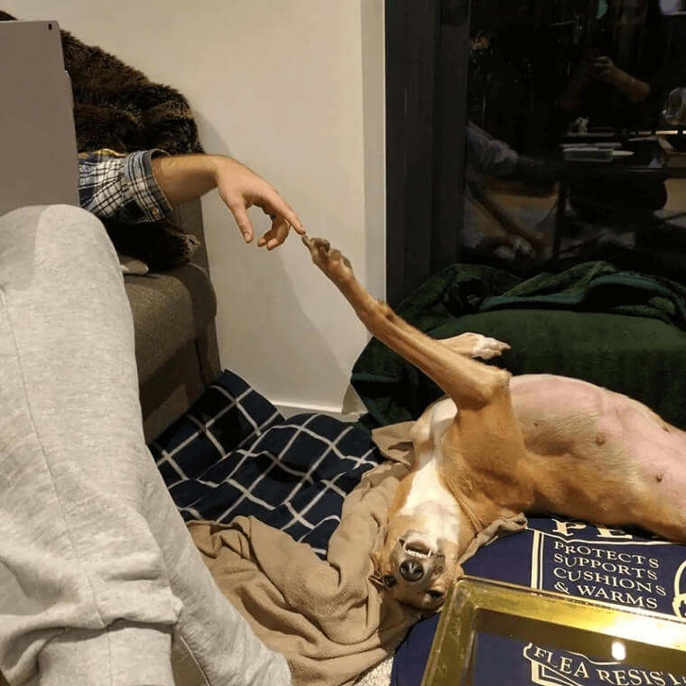 A Different Kind Of Painting