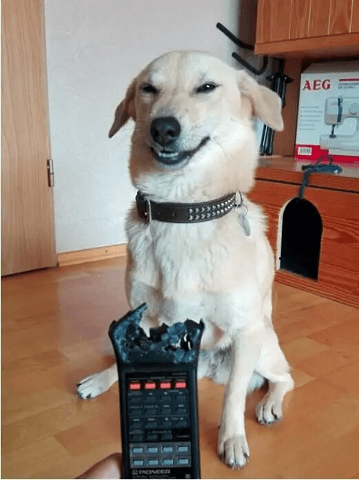 Oh, Is Something Wrong With The Remote?