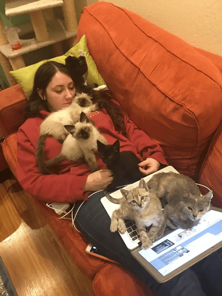 “I Can’t Get Any Work Done”