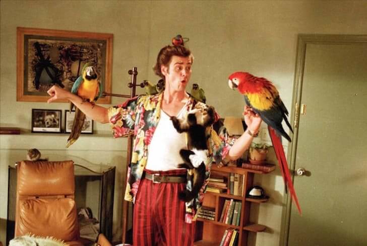 Ace Ventura: Pet Detective (1994)