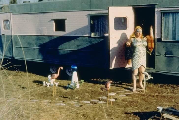 Pink Flamingos (1972)