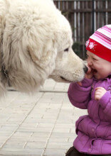 Pictures That Show Kids and Dogs Are Meant For Each Other