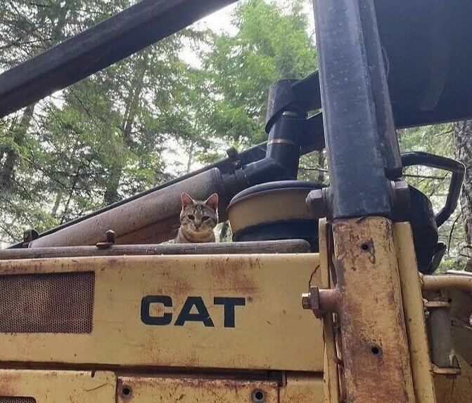 "Ese es mi nombre, no lo gastes"