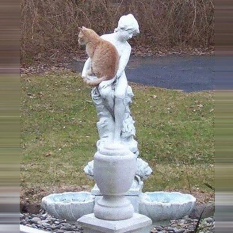 Sólo quiere que la cojas