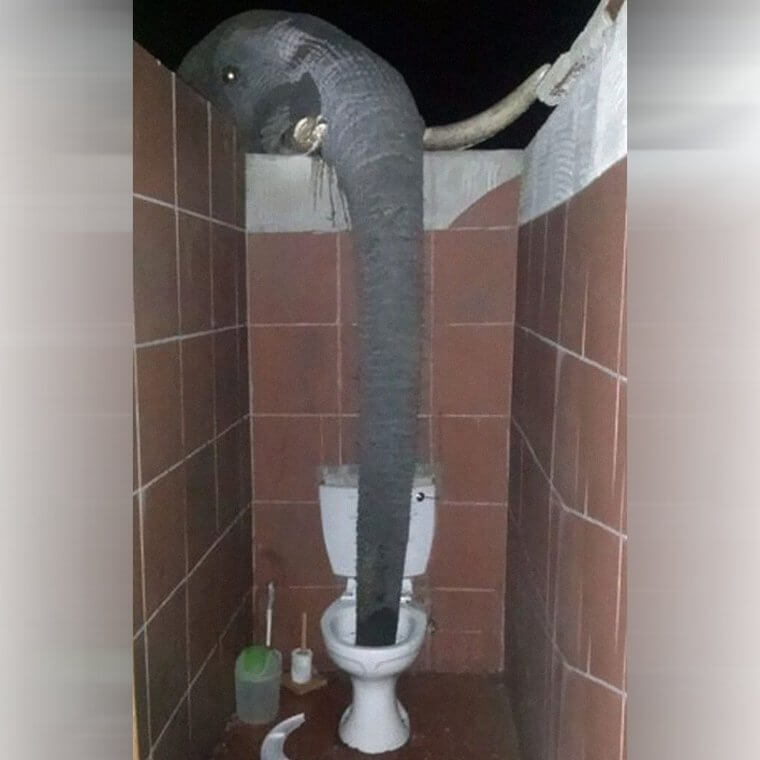 Agitado pero no revuelto