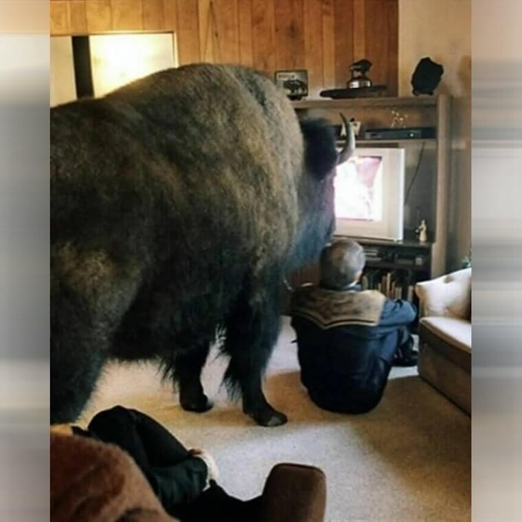 "Quítate de en medio"