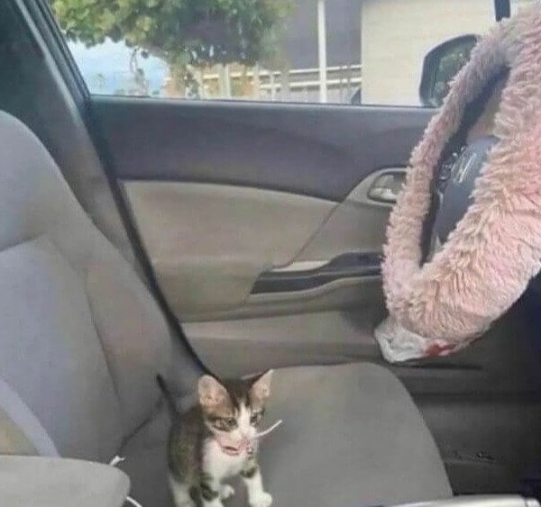 Un conductor de Uber