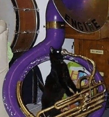 Esforzándose al máximo