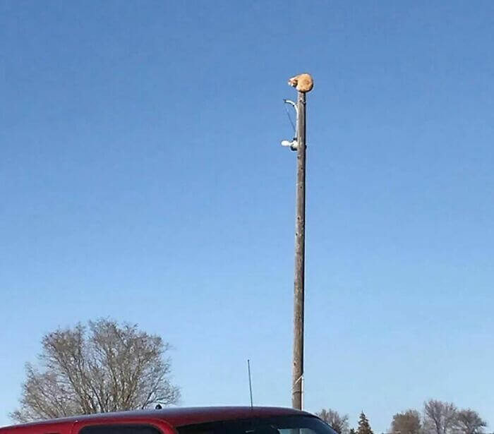 Elevarse por encima de los campesinos