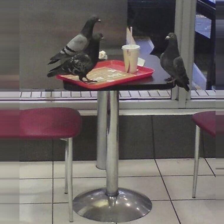 Planear la dominación mundial