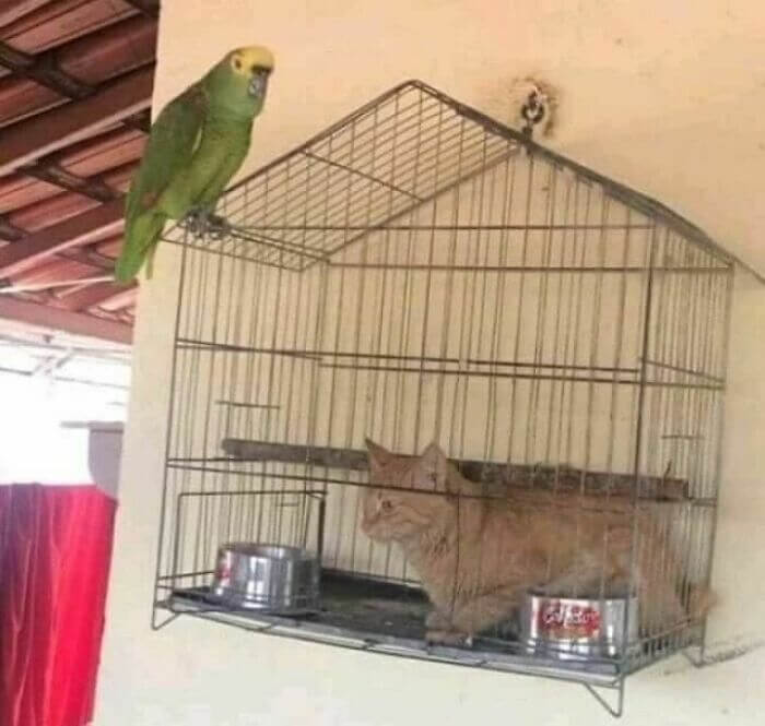 El camino equivocado