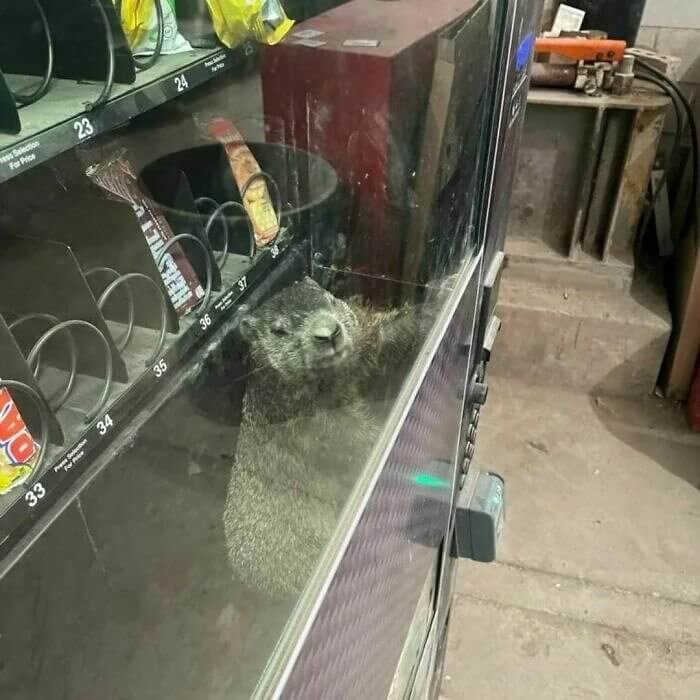 Número 36, por favor