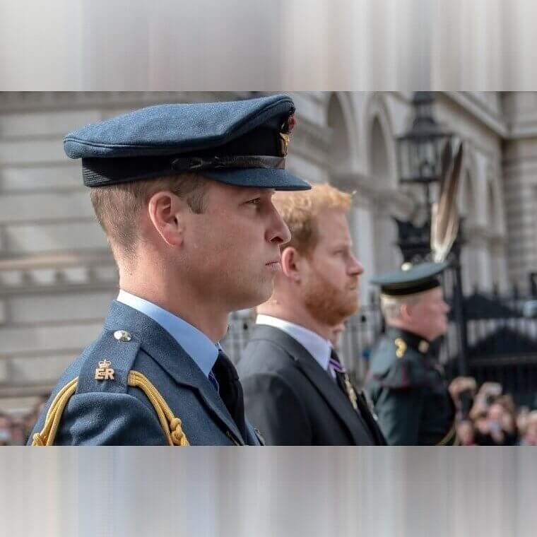 Conseils non désirés