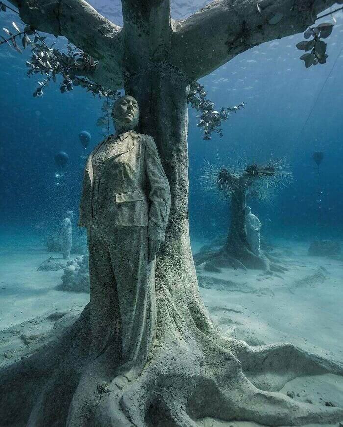 Les arbres de la mort