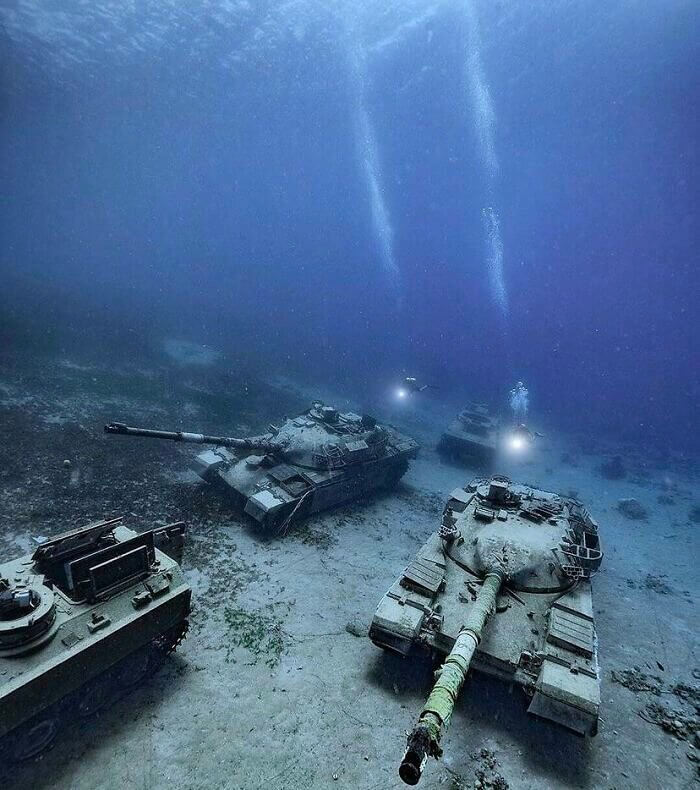 Un aquarium d'un genre différent