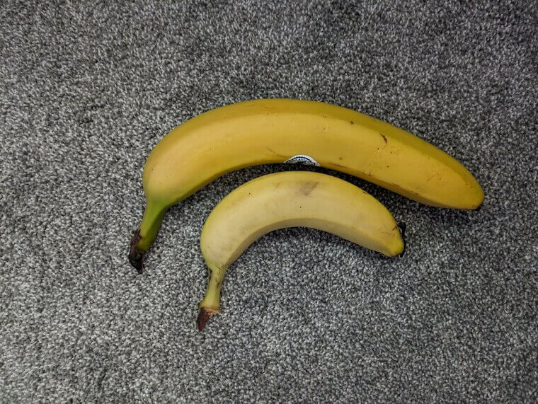 Banana Peel to Polish Shoes