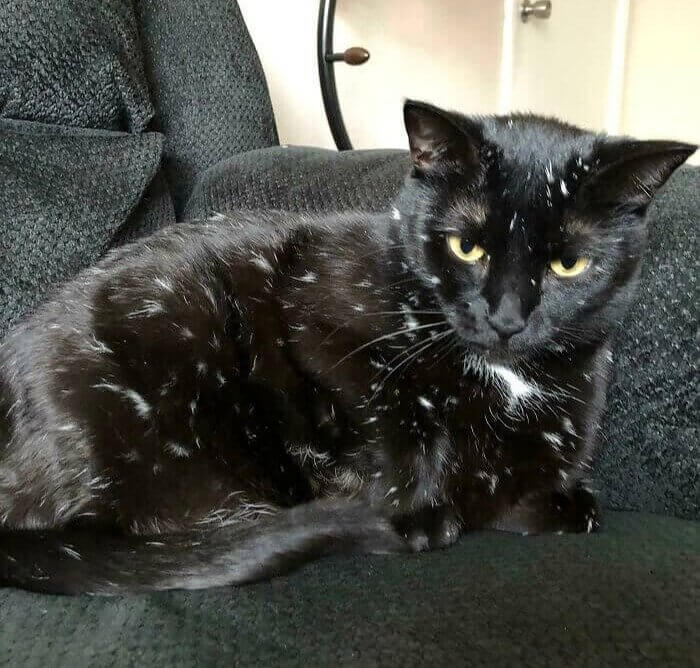 Someone Looks Like They Got Into Painting