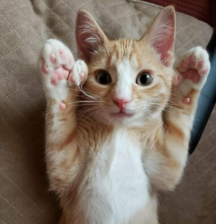 High-Five or Wait... High-Twenty