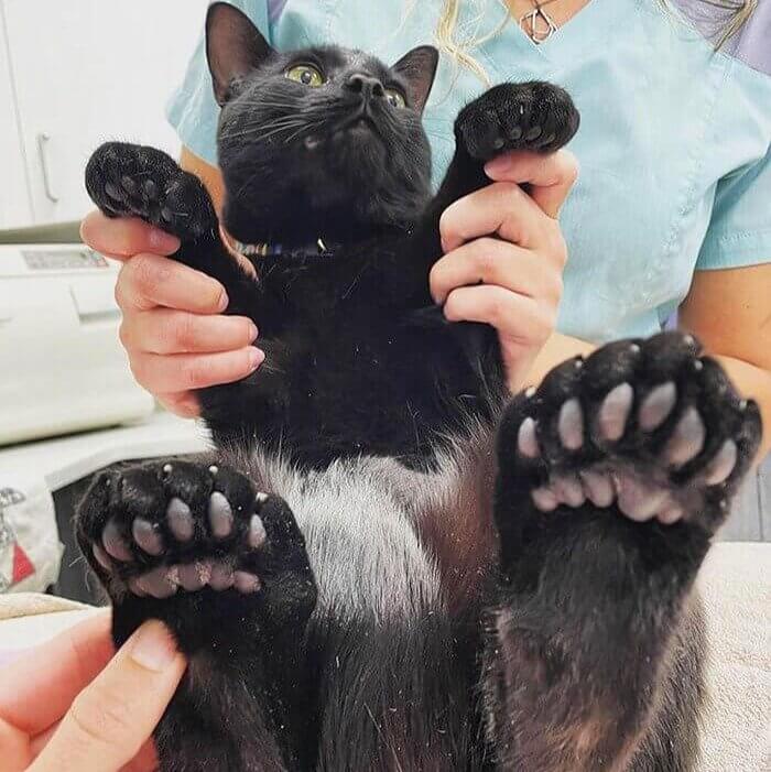 Toes and Toes for Days