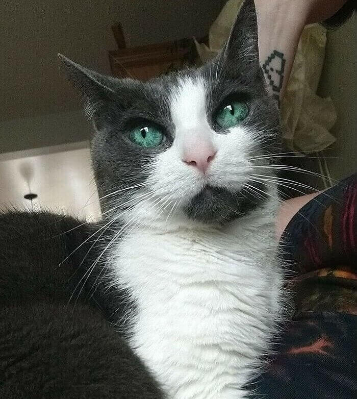 They Say Eyes Are The Windows to Your Soul