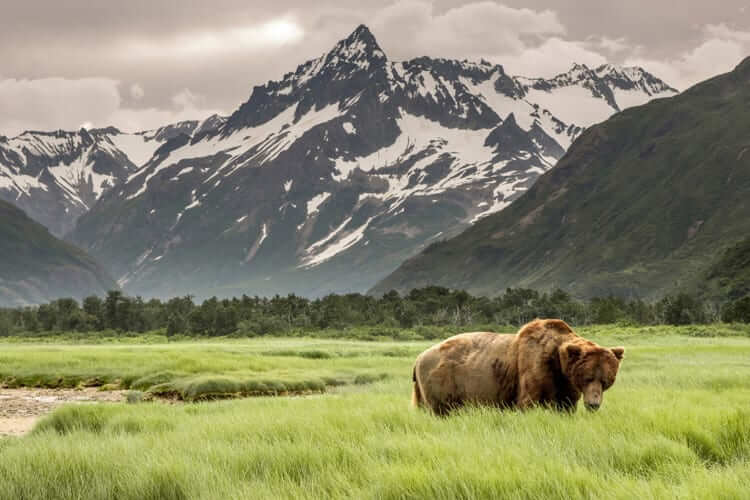 #8 Arctic National Wildlife Refuge, Alaska - 30 136mi² (en anglais)