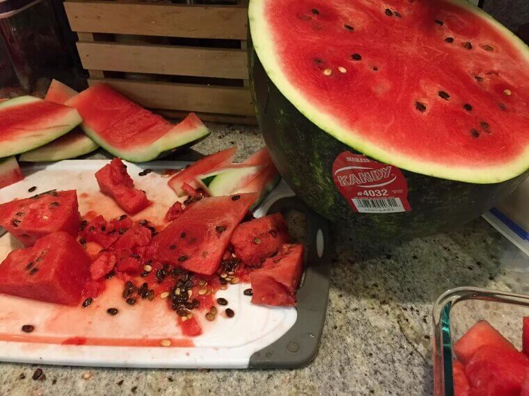 The Watermelon Jungle