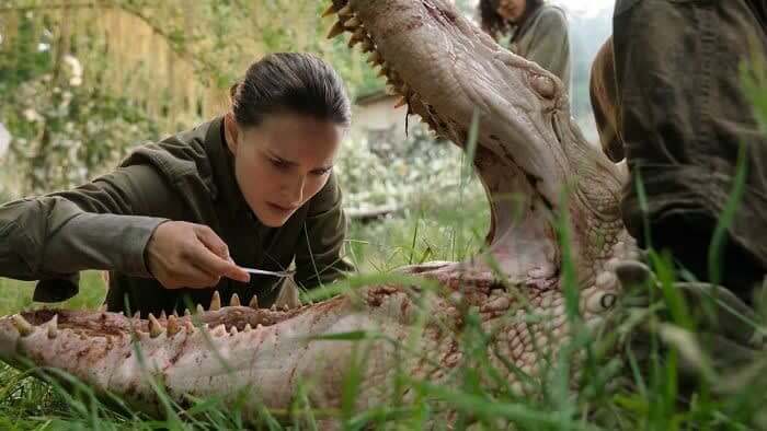 Scientists Conclude Information Within Minutes