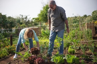 The Best Hobbies for Retirees That Can Also Earn Money