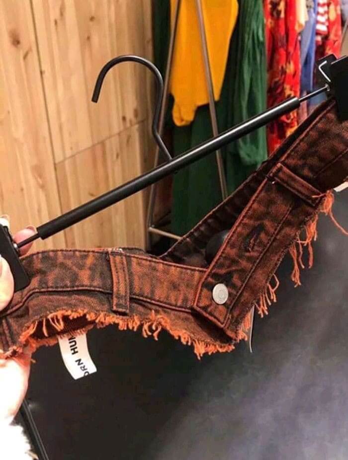 Fashion Evolution