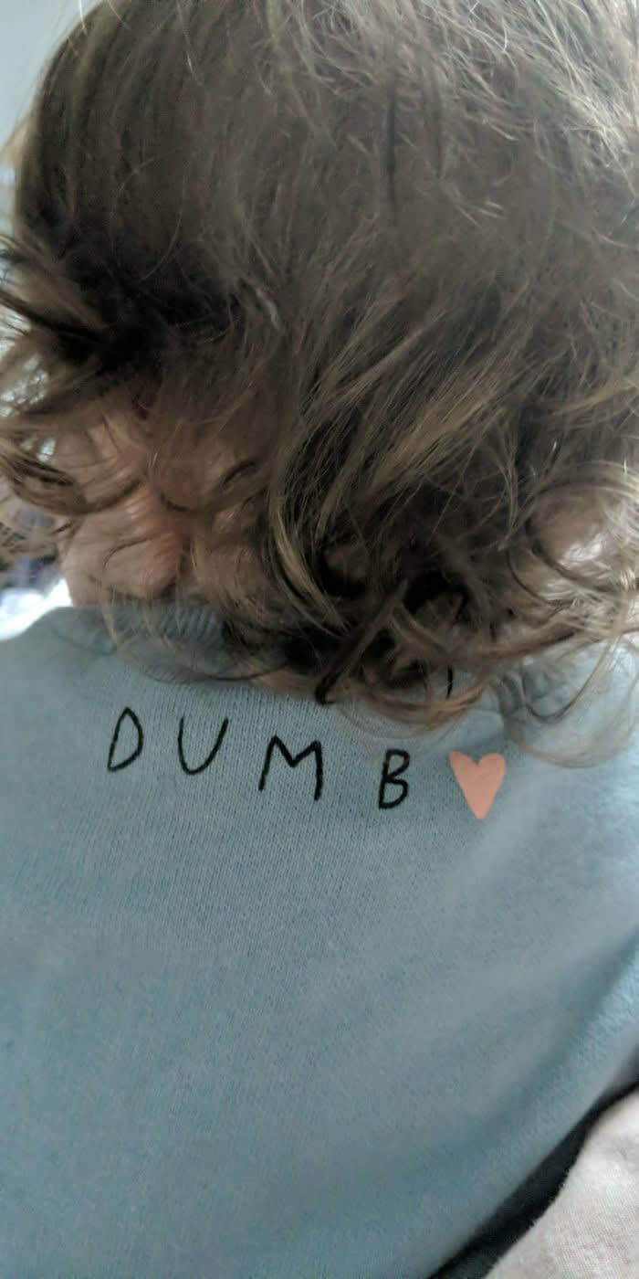 Dumbo The Flying Elephant
