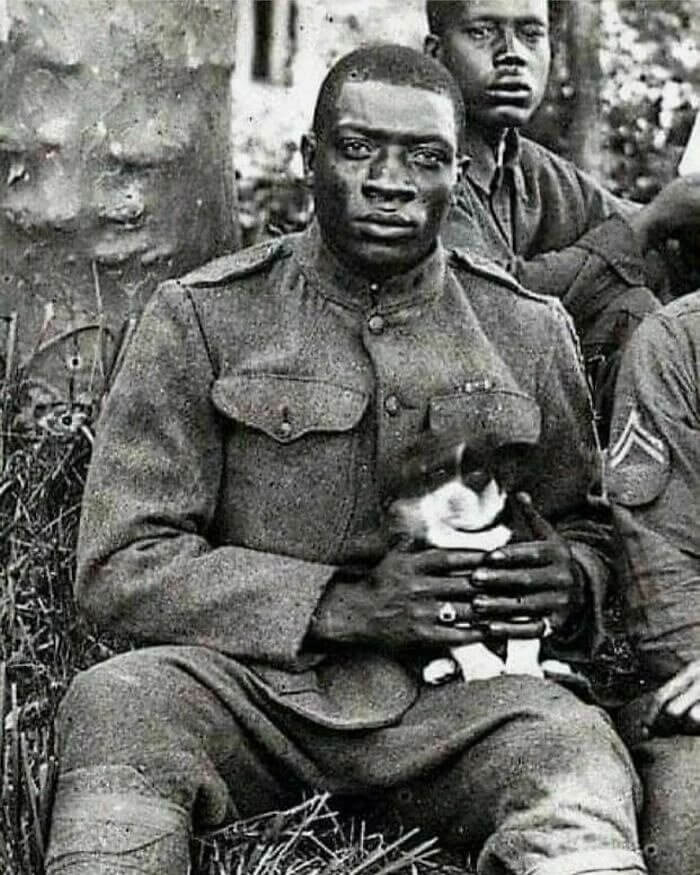 L'un des « Harlem Hellfighters » caresse un chien