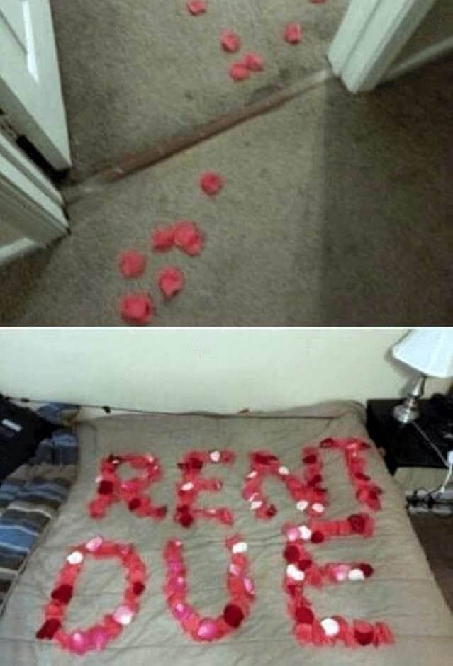 Romantic Night