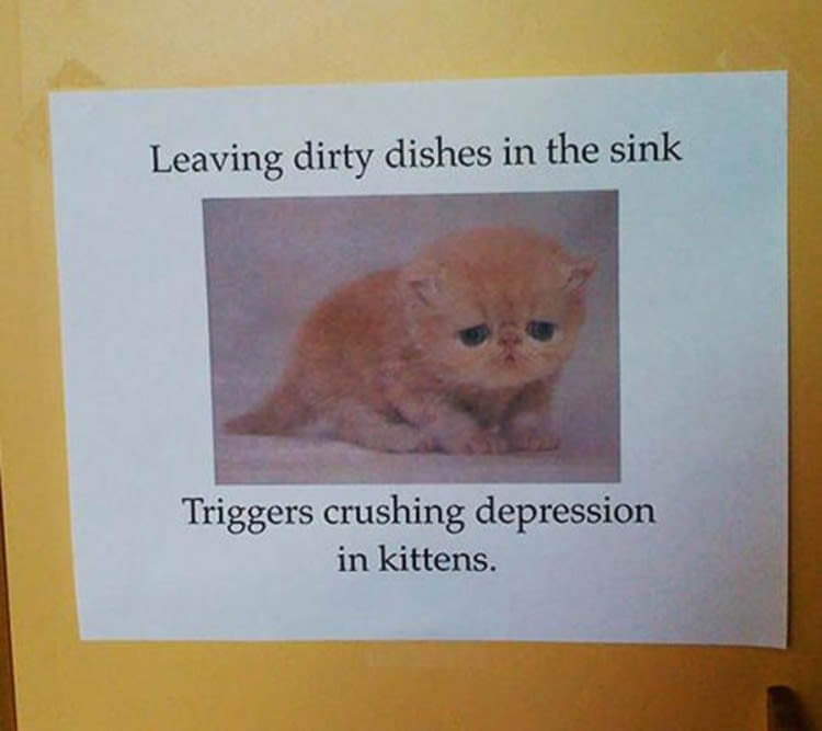 Please Do It For The Kittens