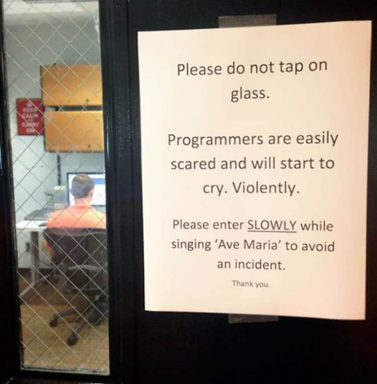 Programmers With A Sense of Humor? We Must Be Dreaming