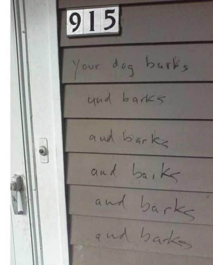 They Used The Word Barks Six Times