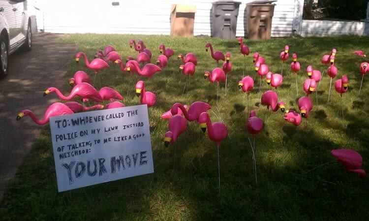 Why Bring Poor Flamingos Into This War?