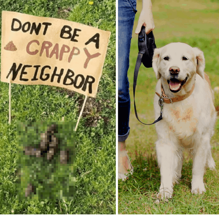 Calling Out The Horrible Neighbors