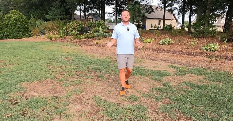 Reseed Bare Spots Quickly