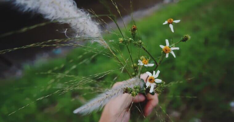 Pull Weeds While They’re Young