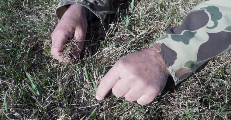 Rake Out Thatch Buildup