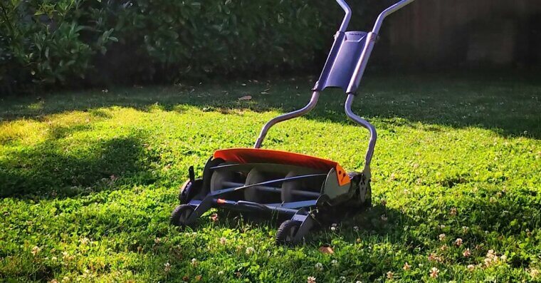 Mow Regularly to Stop Seed Spread