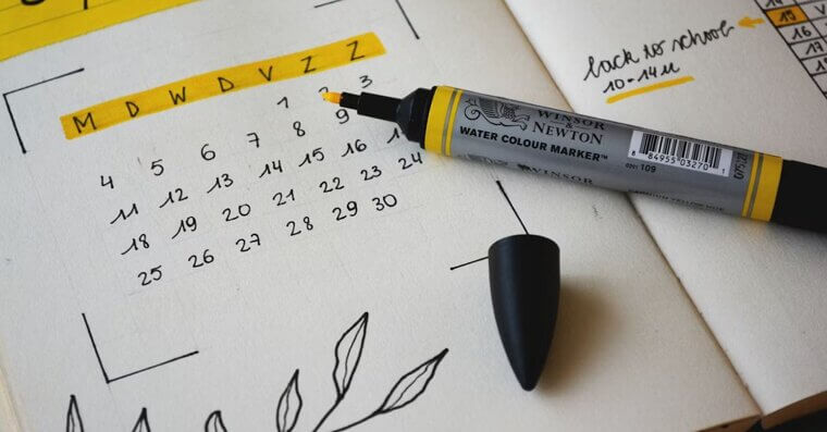 Keep a Regular Lawn Care Schedule