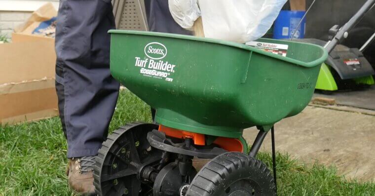 Keep Your Lawn Thick With Regular Overseeding