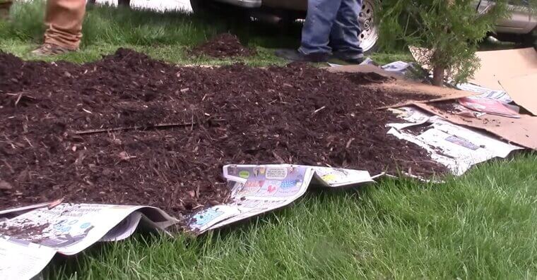Block Sunlight With Cardboard or Newspaper