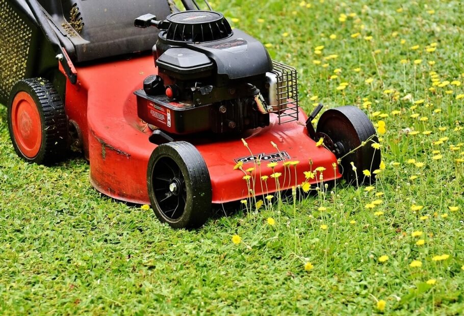 Simple Ways to Remove Lawn Weeds Once and for All