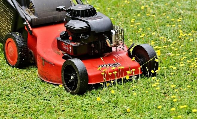 Simple Ways to Remove Lawn Weeds Once and for All