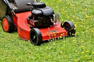 Simple Ways to Remove Lawn Weeds Once and for All