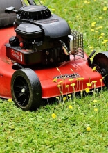 Simple Ways to Remove Lawn Weeds Once and for All